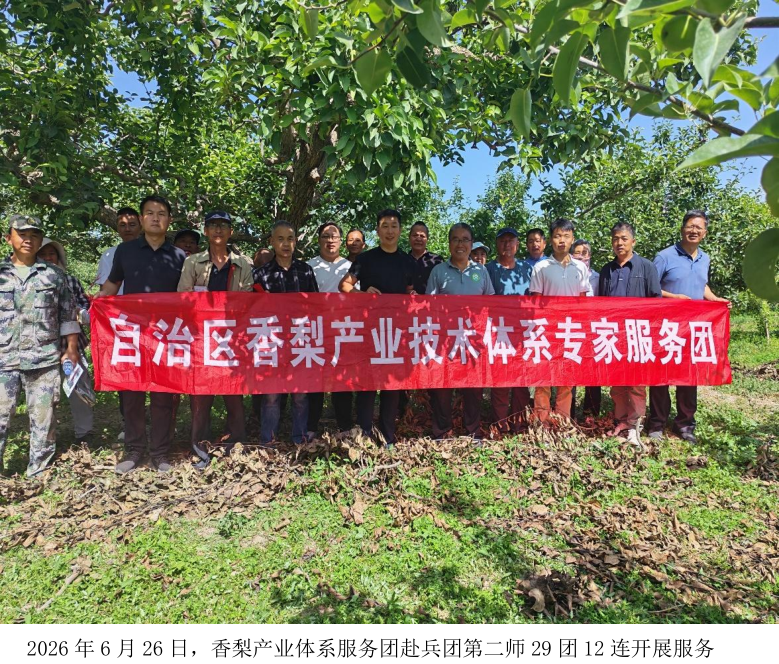 兵团基层有需求    体系专家...