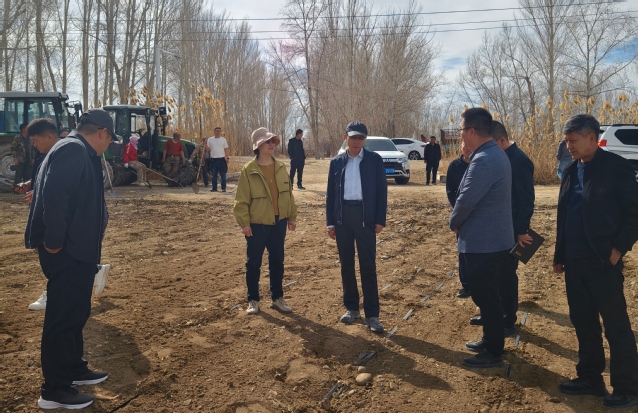 科技下乡助春播 石河子大学团队...