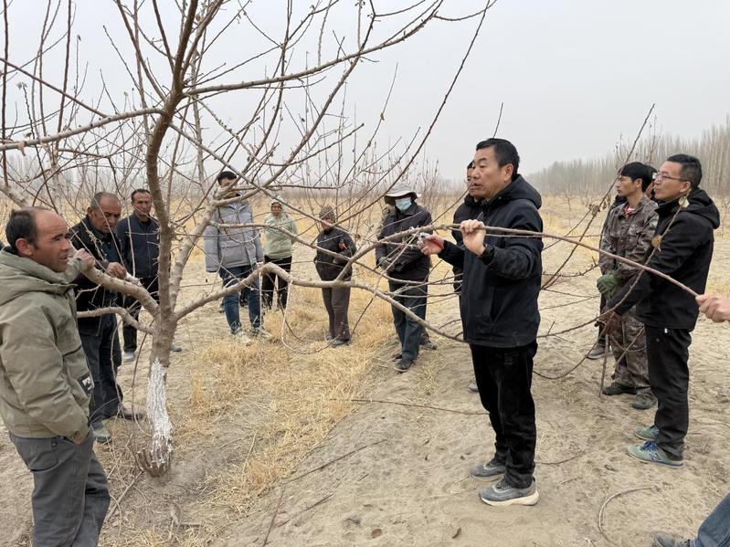 石河子大学农学院科技特派员团队...